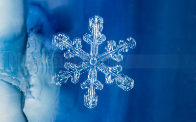 DanDexter-Snowflakes-2013-12-15-16.25.53 ZS PMax